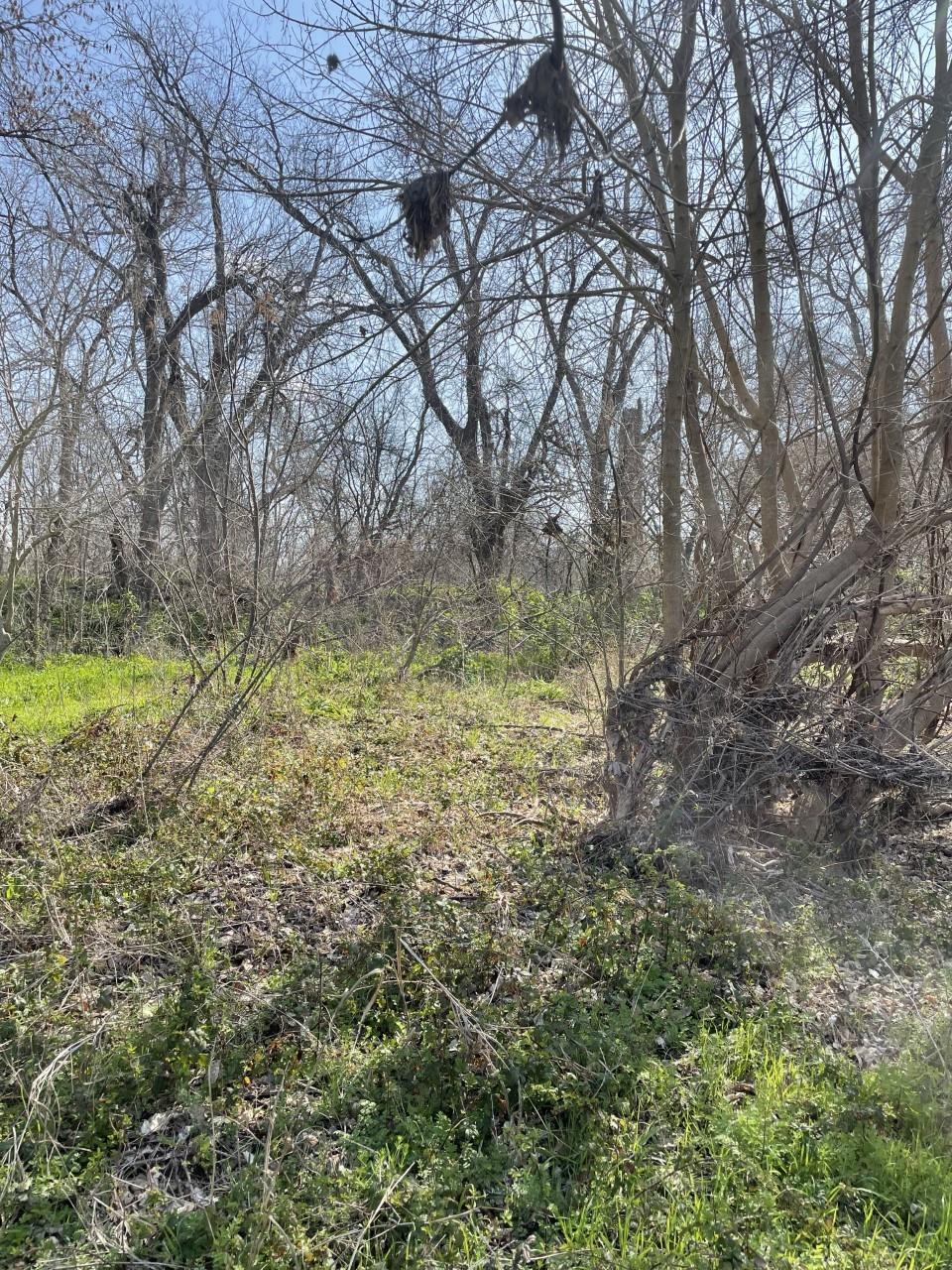 301 Fm 1979 Property Photo 23
