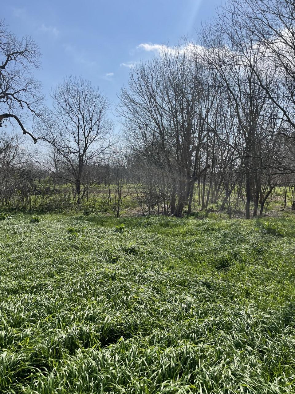 301 Fm 1979 Property Photo 26