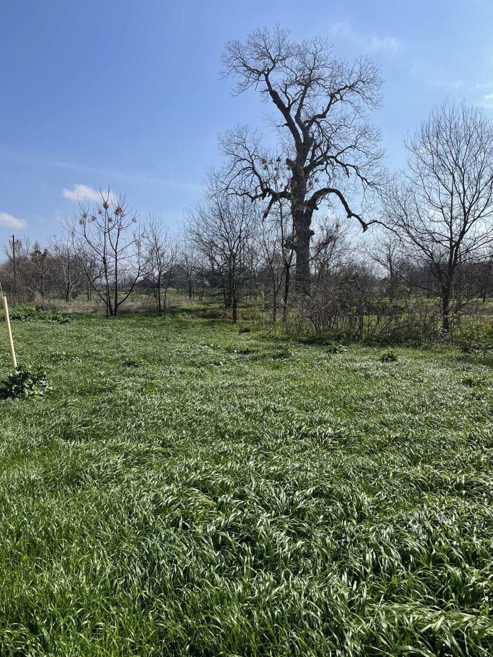 301 Fm 1979 Property Photo 27