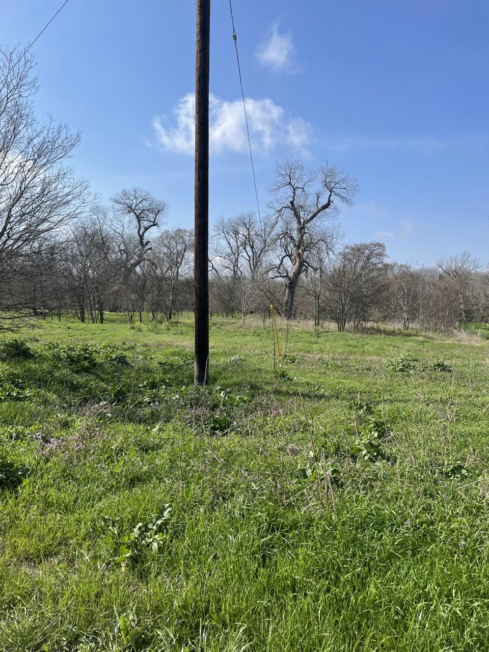 301 Fm 1979 Property Photo 28