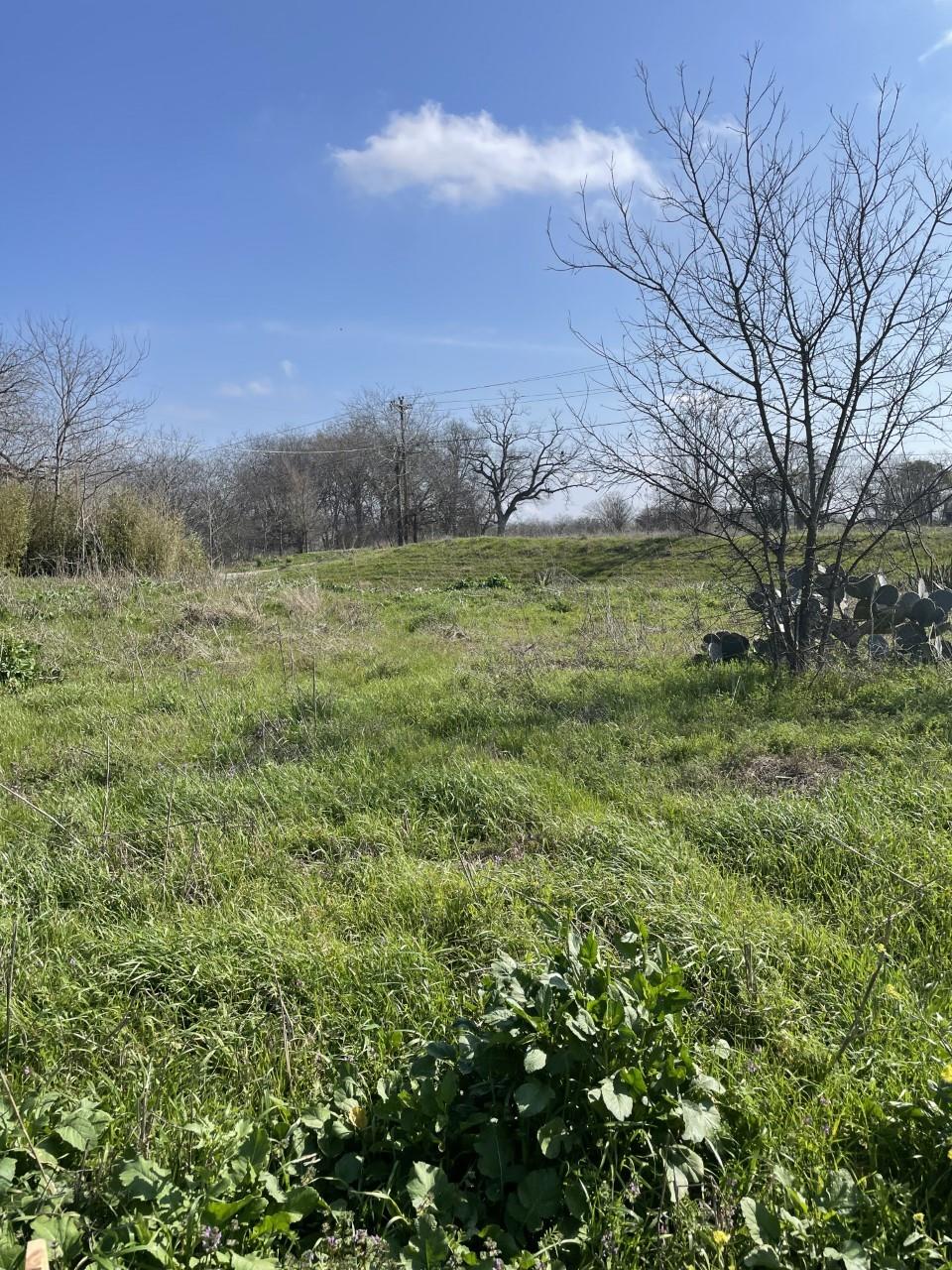 301 Fm 1979 Property Photo 30