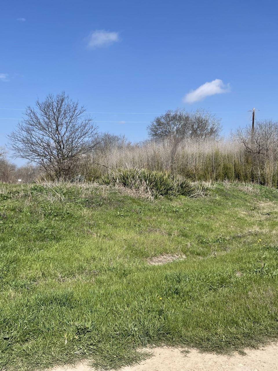 301 Fm 1979 Property Photo 31