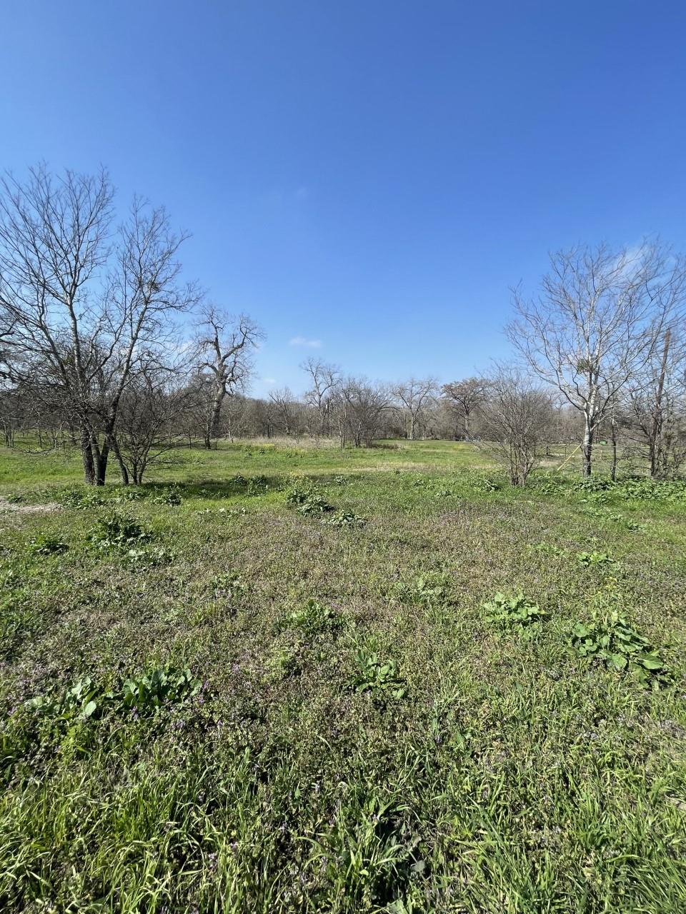 301 Fm 1979 Property Photo 35