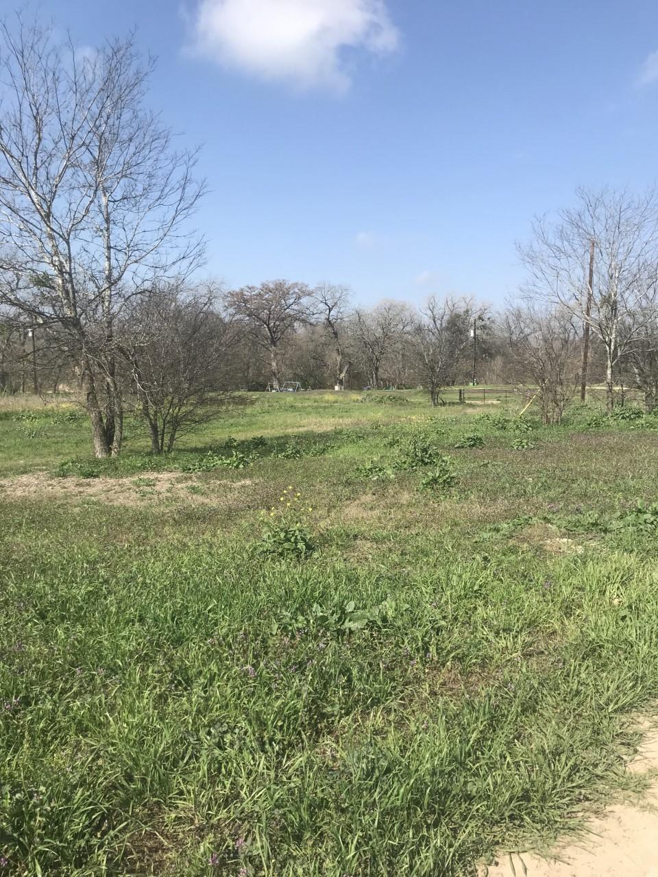 301 Fm 1979 Property Photo 39
