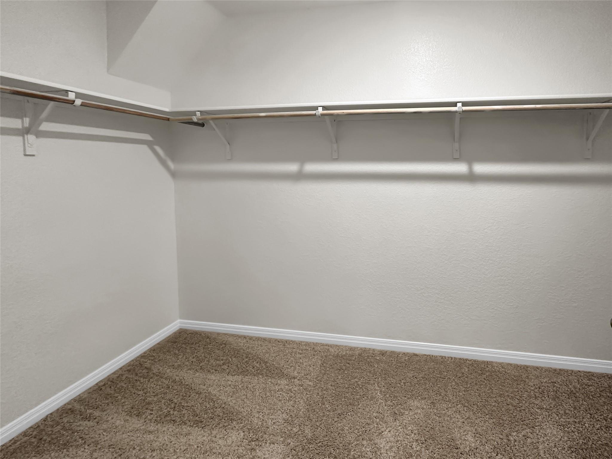 423 Morning Glory Loop Property Photo 20