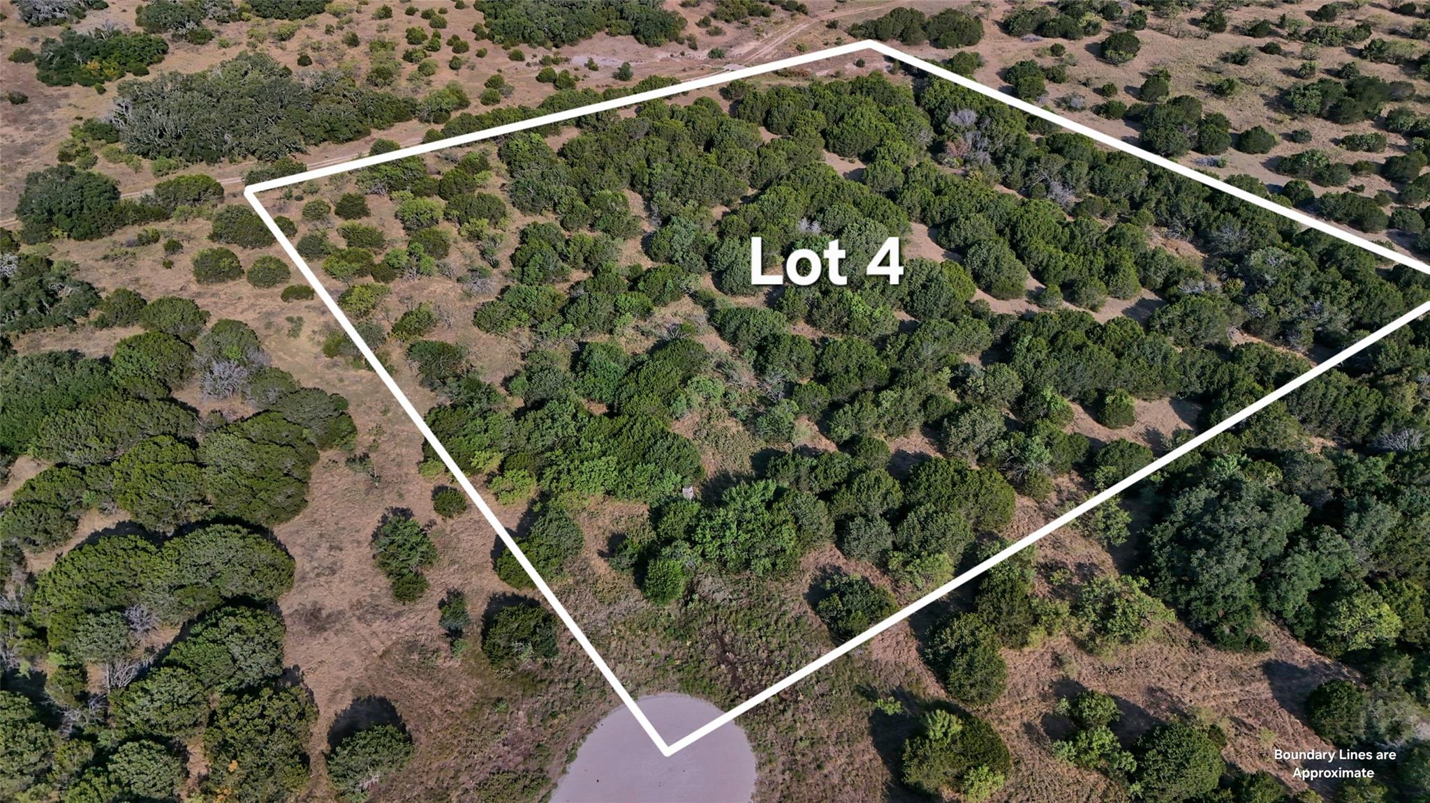 Lot 4 Us Hwy 190 Hwy Property Photo 1