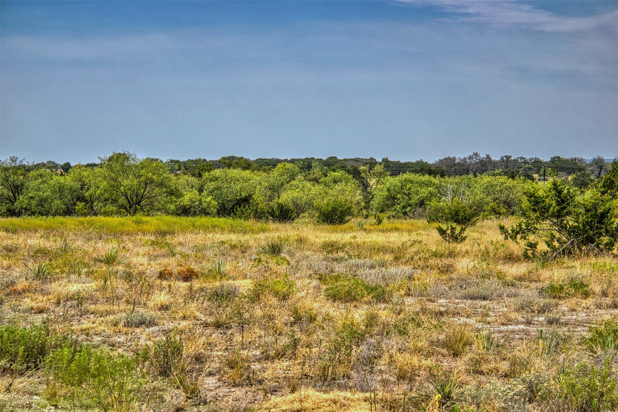 Lot 4 Us Hwy 190 Hwy Property Photo 10