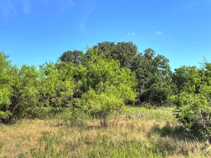 Lot 4 Us Hwy 190 Hwy Property Photo 11