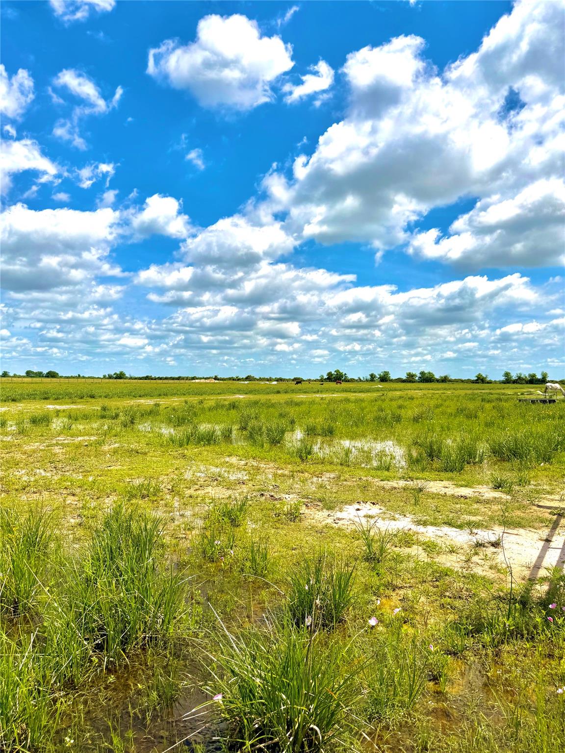 Tbd Tract 43 Mcdonald Rd Property Photo 4
