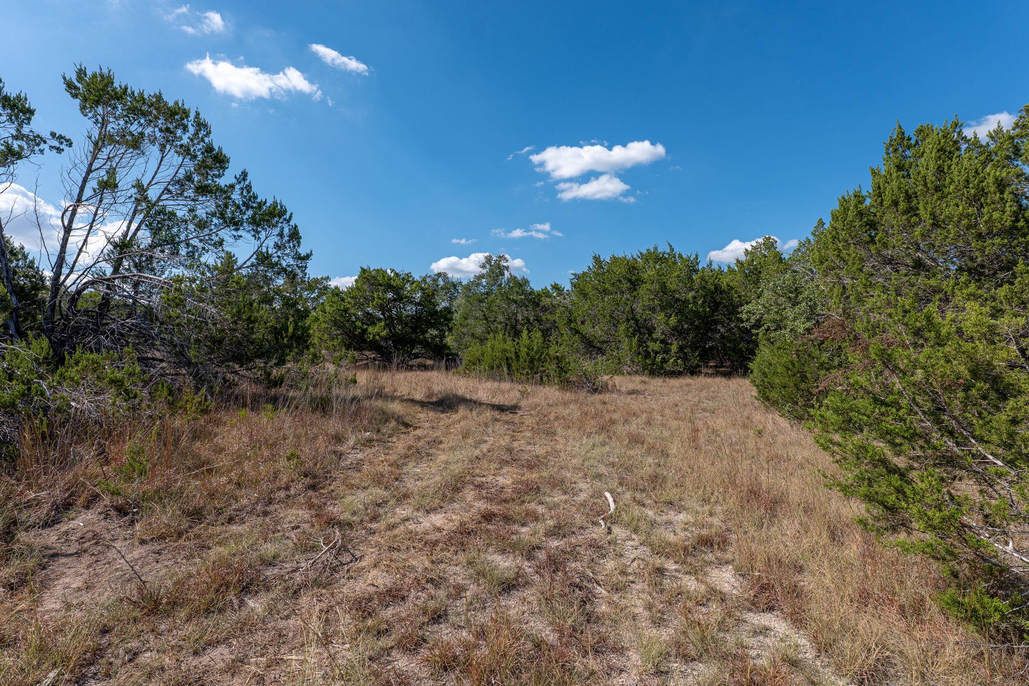 140 Midnight Sky Dr Property Photo 12