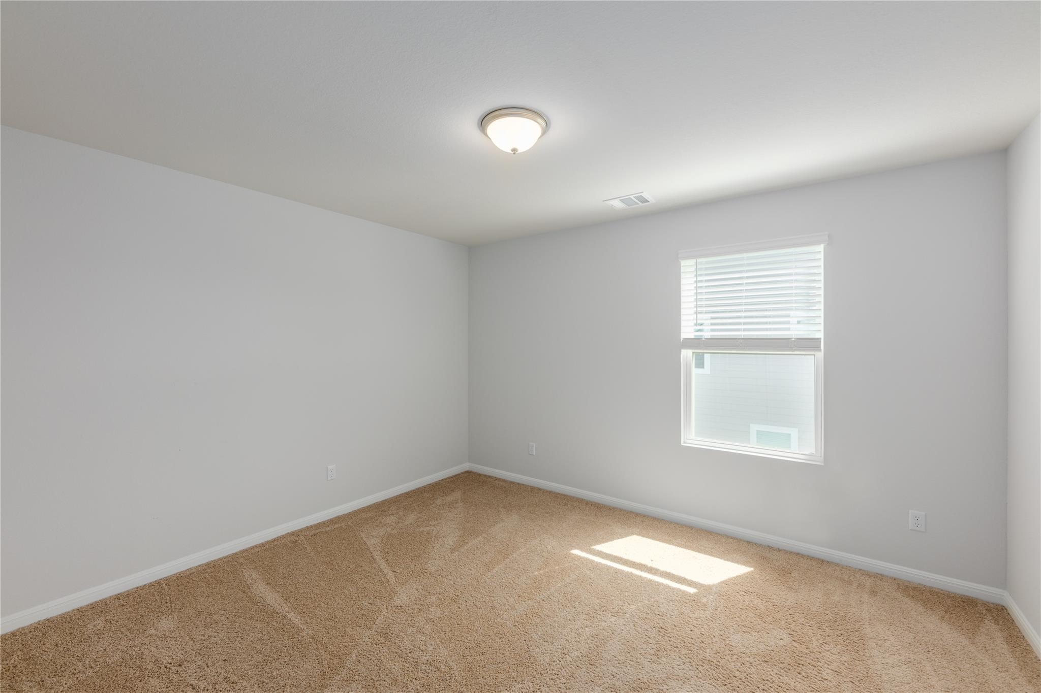 301 Elm Branch Trl Property Photo 28