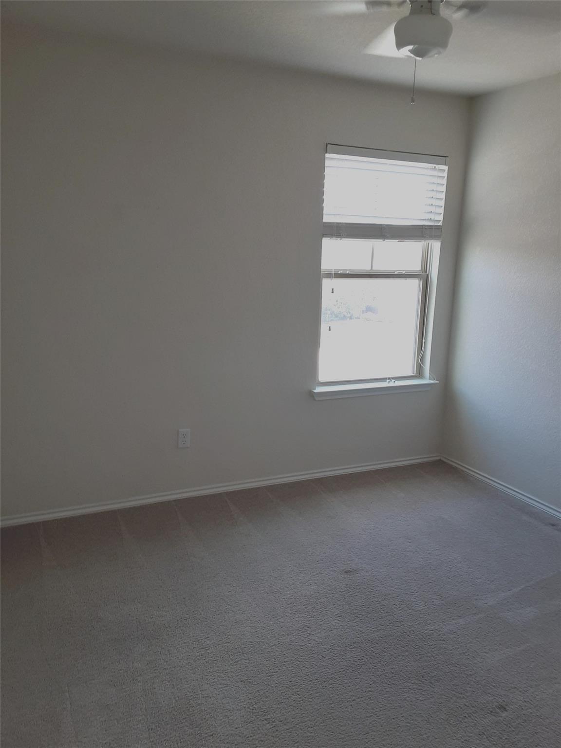 504 Coffee Berry Dr Property Photo 32