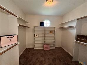 1004 Shady Hollow Ct Property Photo 28