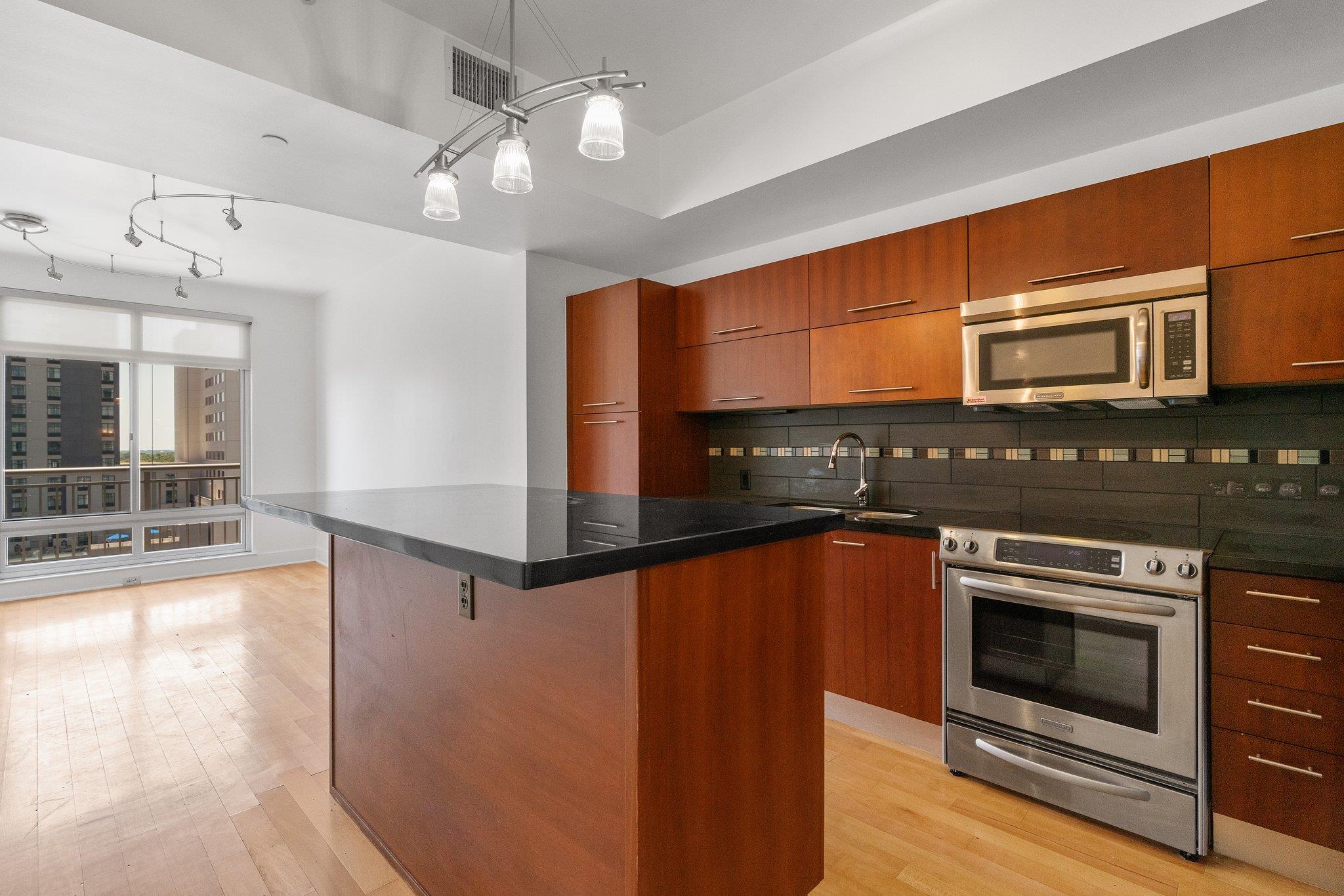 603 Davis St #1105 Property Photo 3