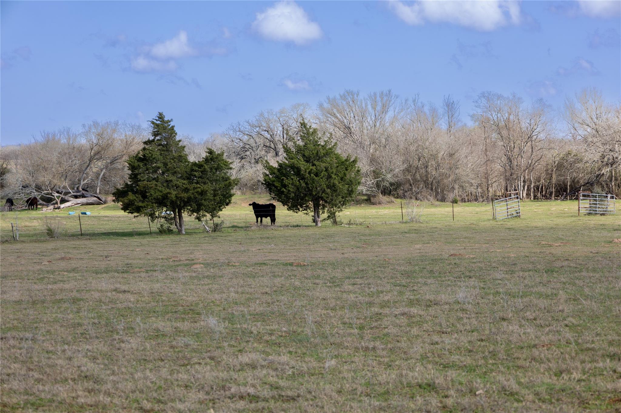 Lot 7 Mule Creek Rd None