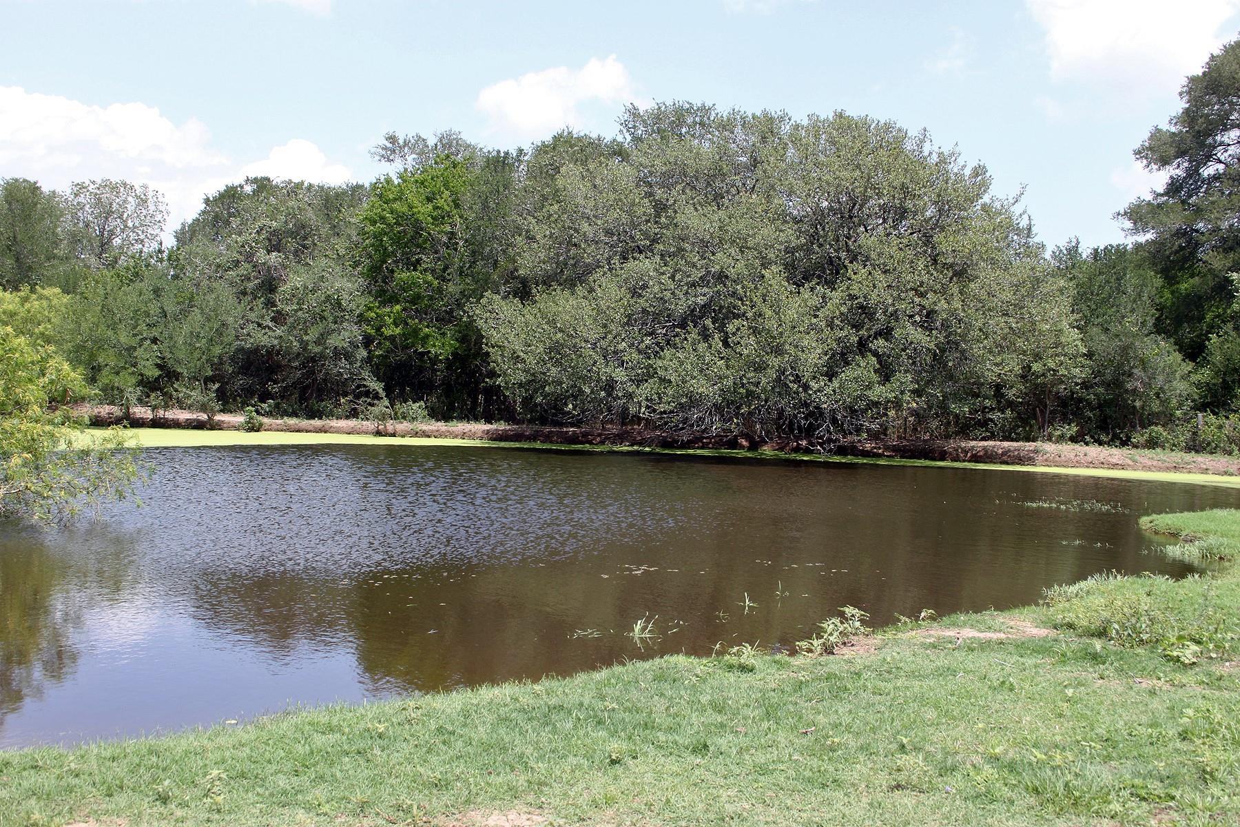 9411 Fm 86 Hwy Property Photo 1