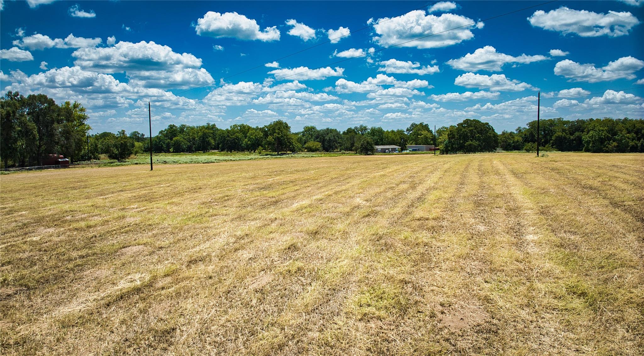 5510 Old Mcmahan Tract A Rd Property Photo 6