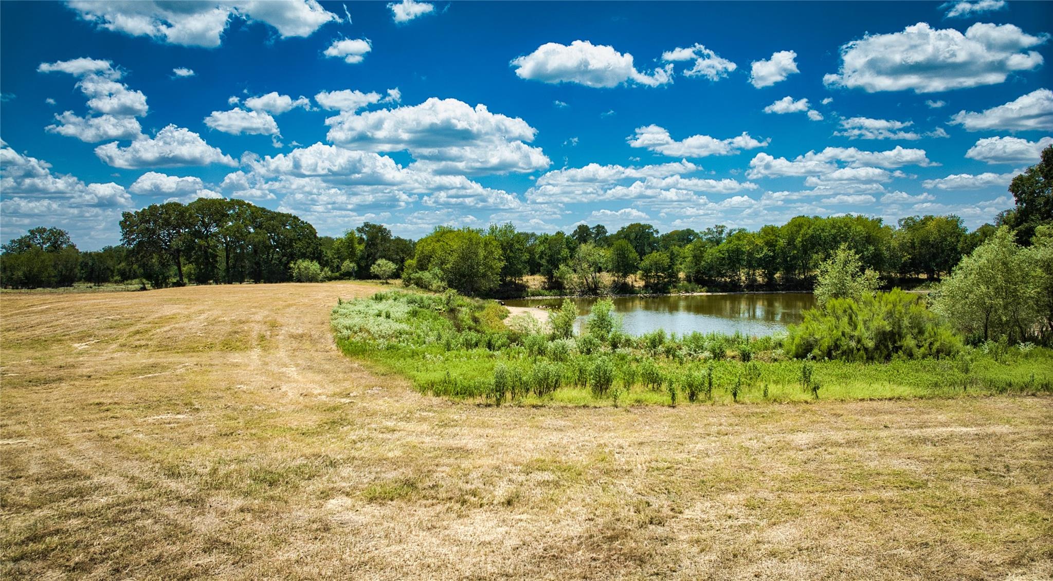 5510 Old Mcmahan Tract A Rd Property Photo 14