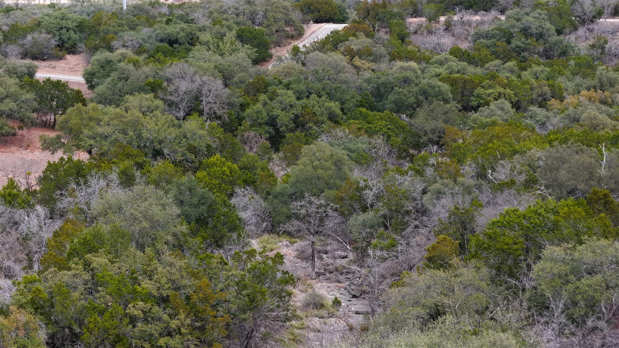 Tbd Mountain Dew Rd Property Photo 2