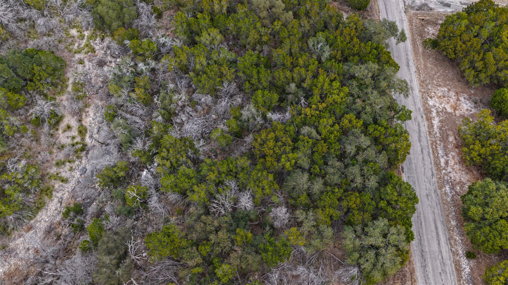 Tbd Mountain Dew Rd Property Photo 7