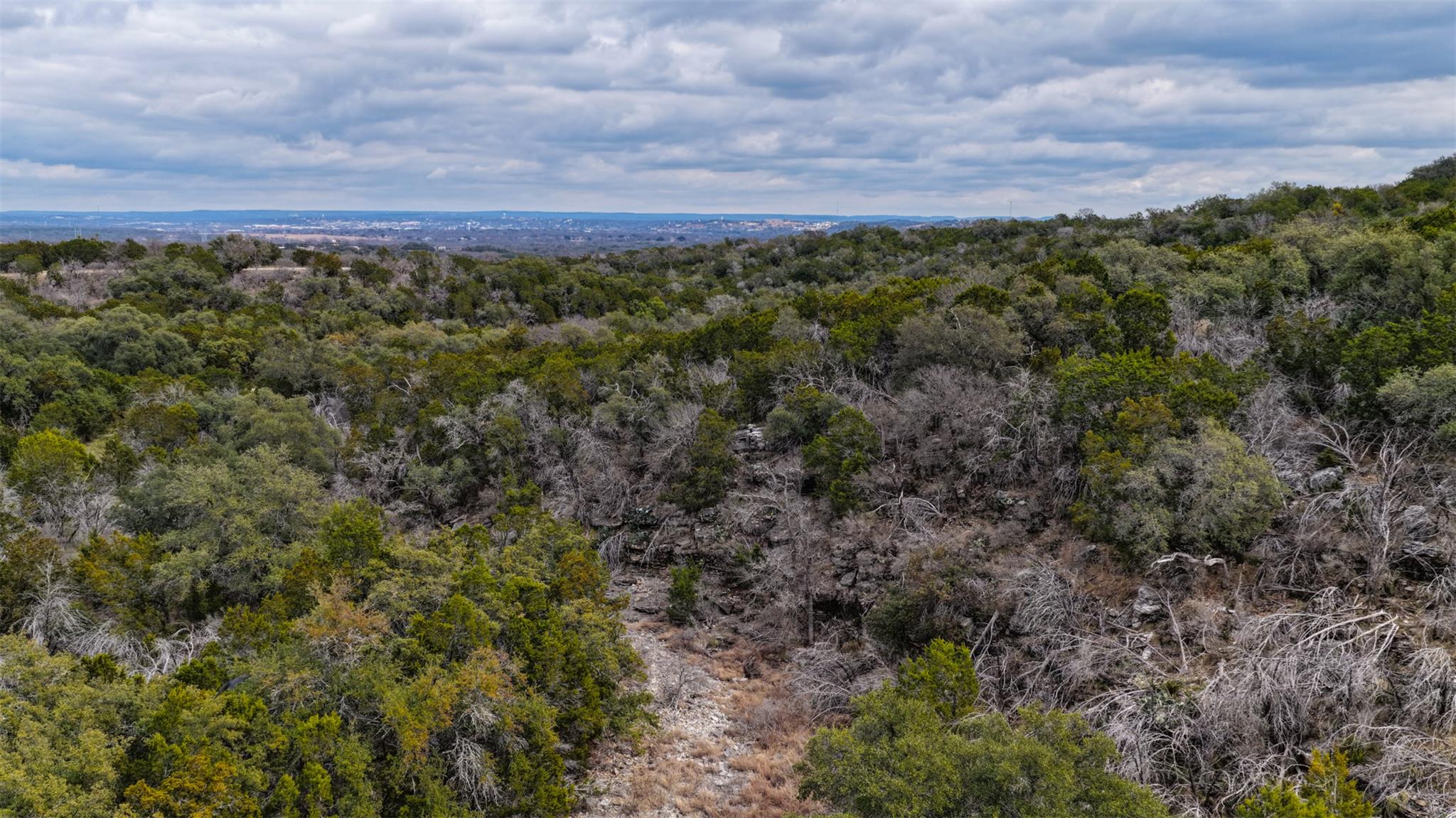 Tbd Mountain Dew Rd Property Photo 21