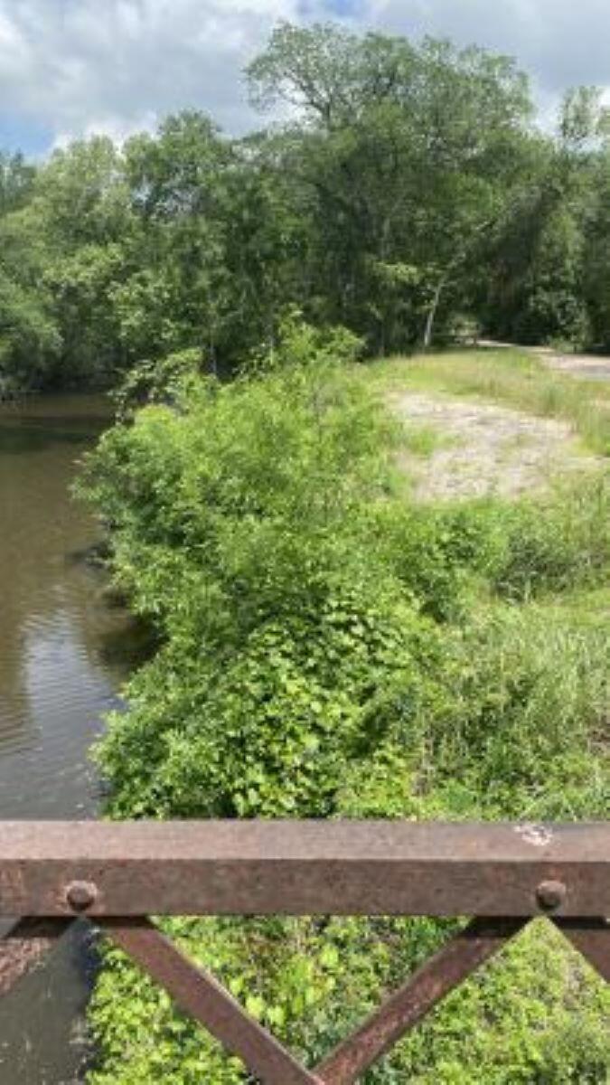 425 Willow Springs Rd Property Photo 13