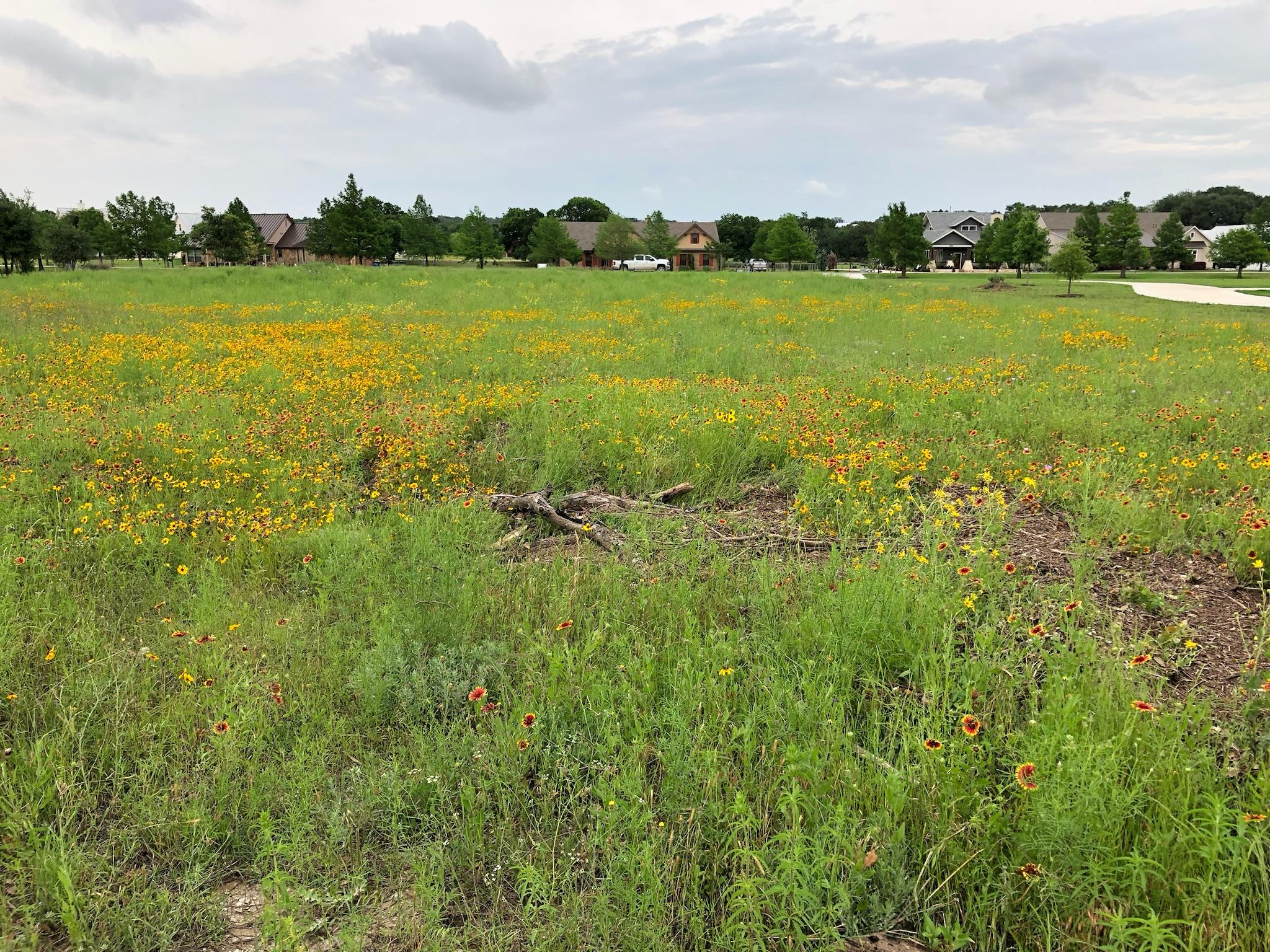1680 Trebled Waters Trl Property Photo 19