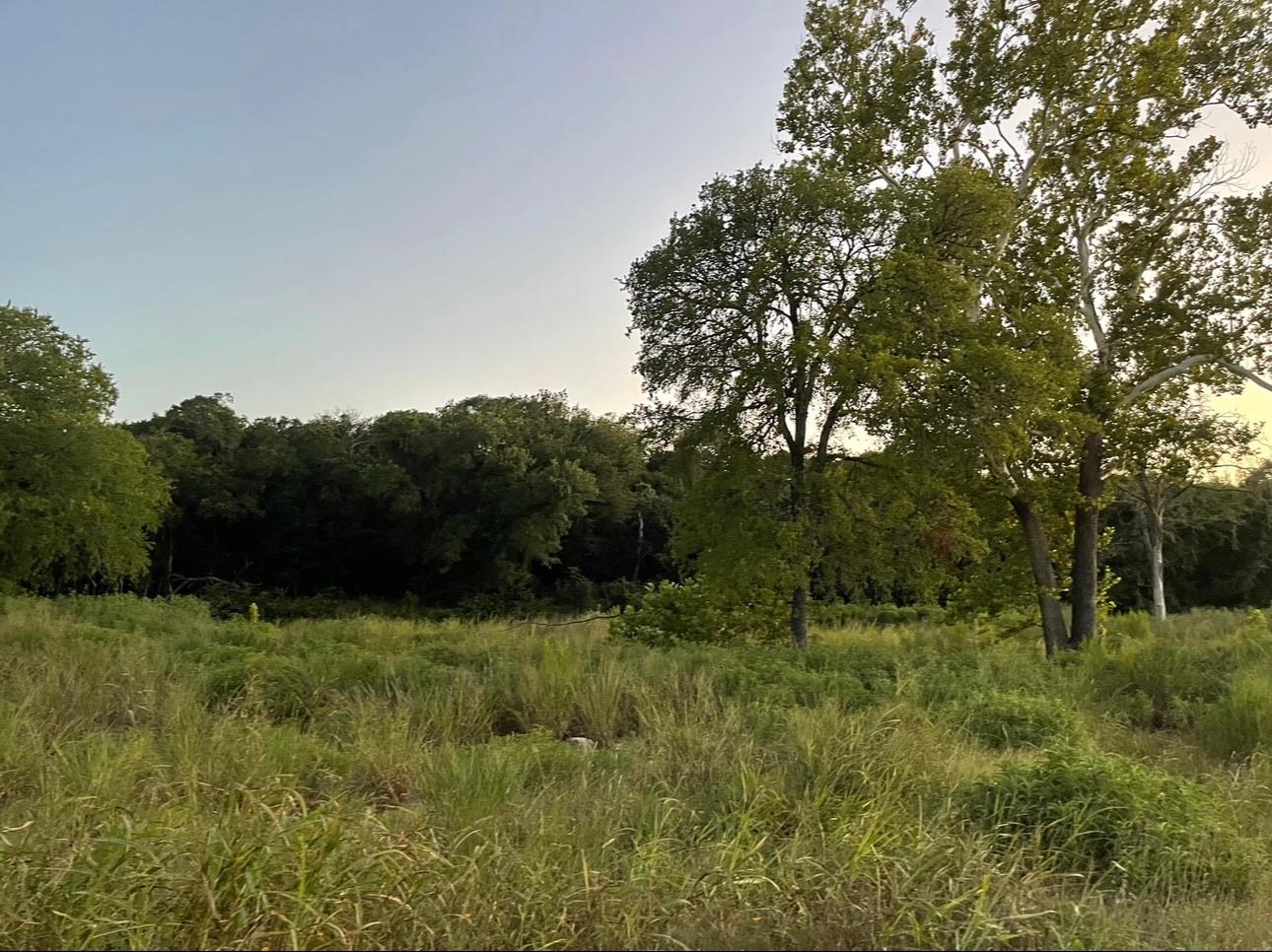1680 Trebled Waters Trl Property Photo 23