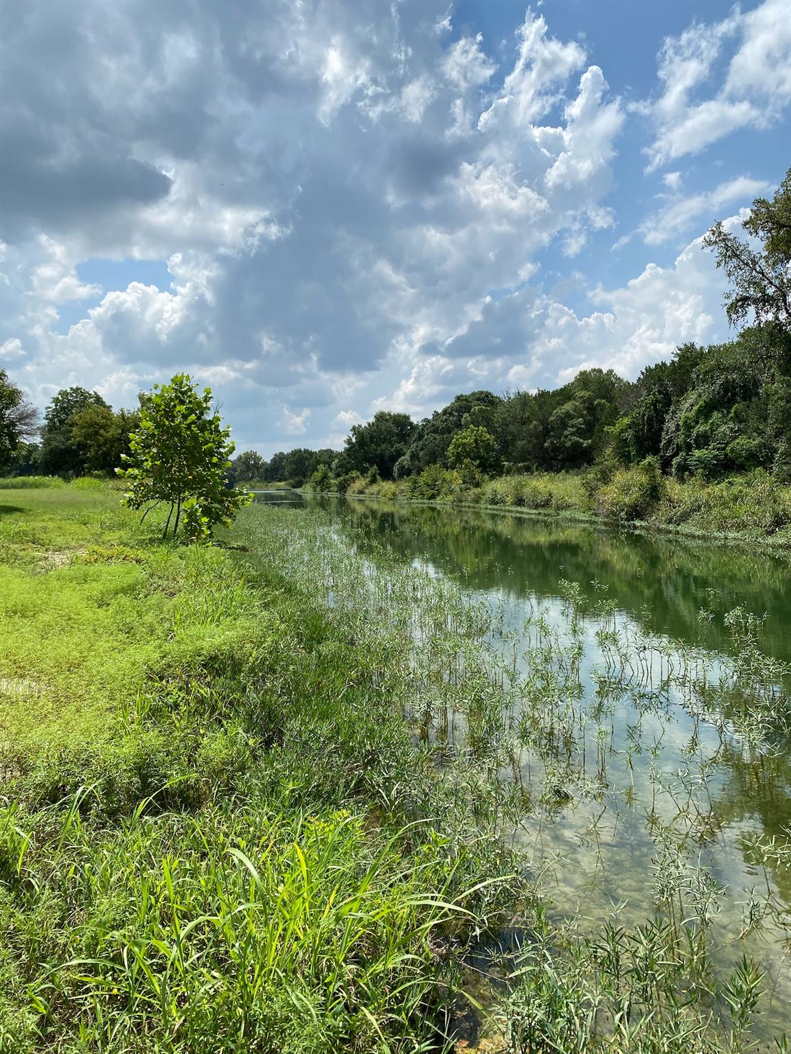 1680 Trebled Waters Trl Property Photo 30