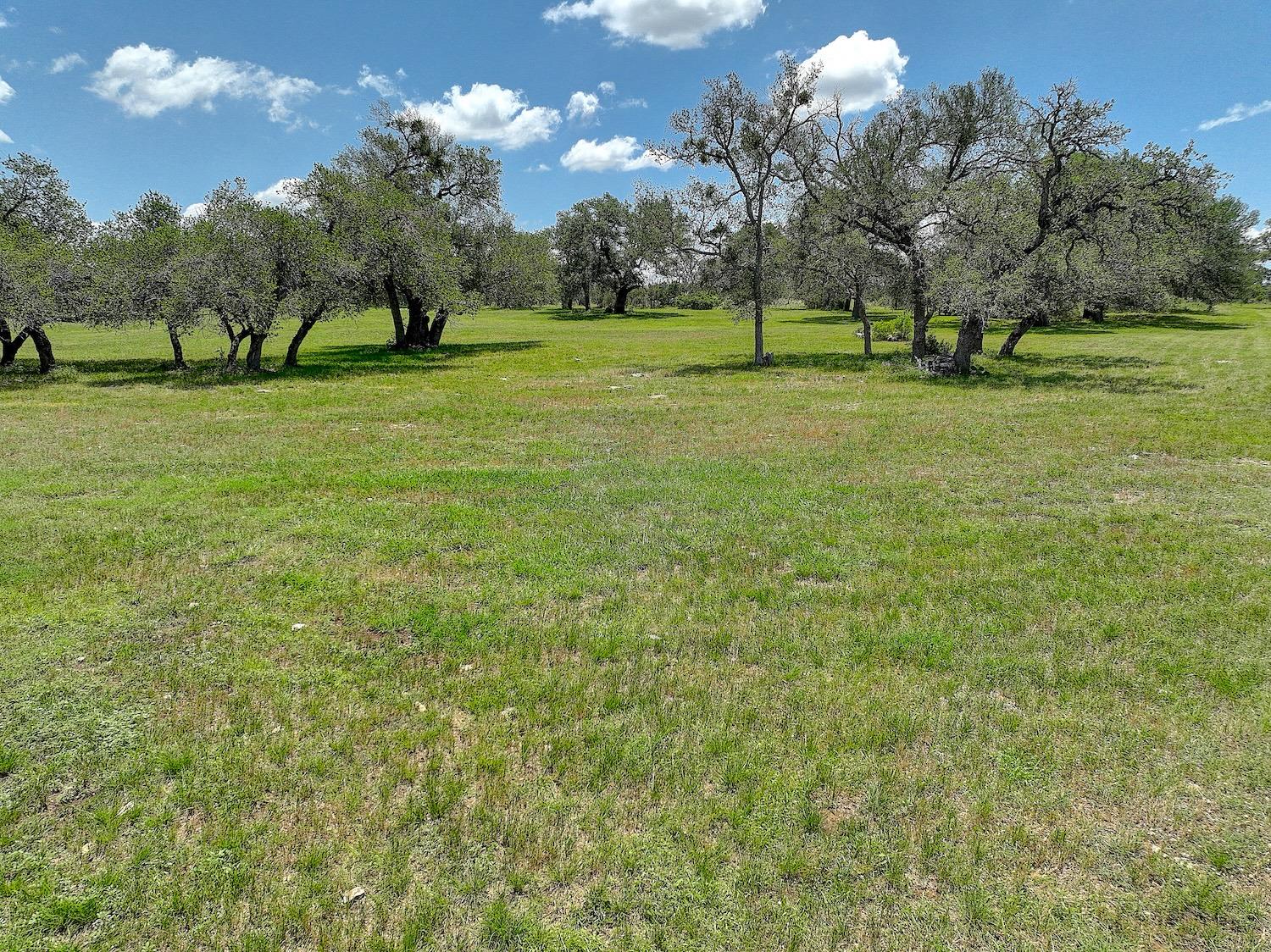 3514 Fm 3509 None Property Photo 35