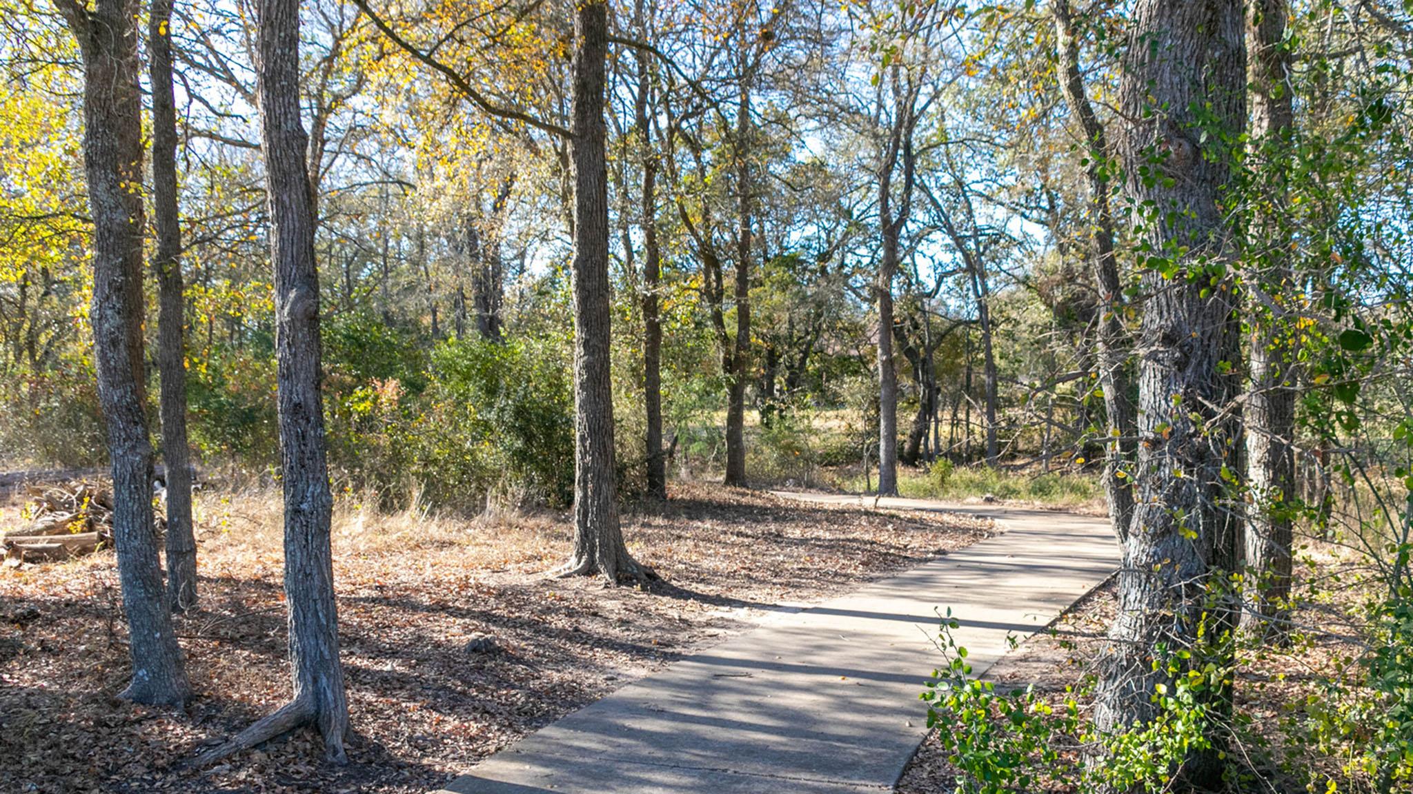 113 Palo Pinto Bnd Property Photo 13