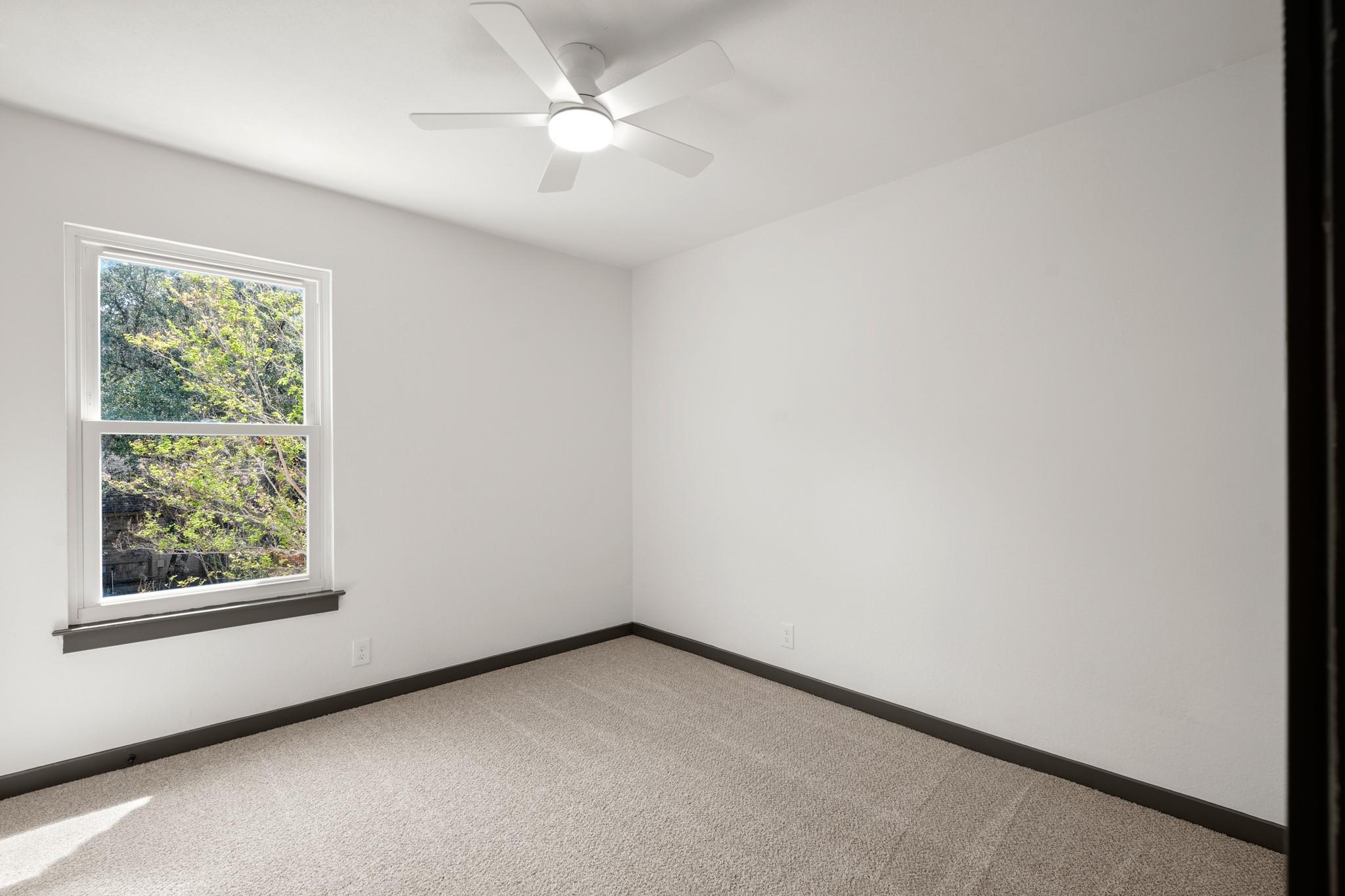 215 Dewberry Cv Property Photo 24