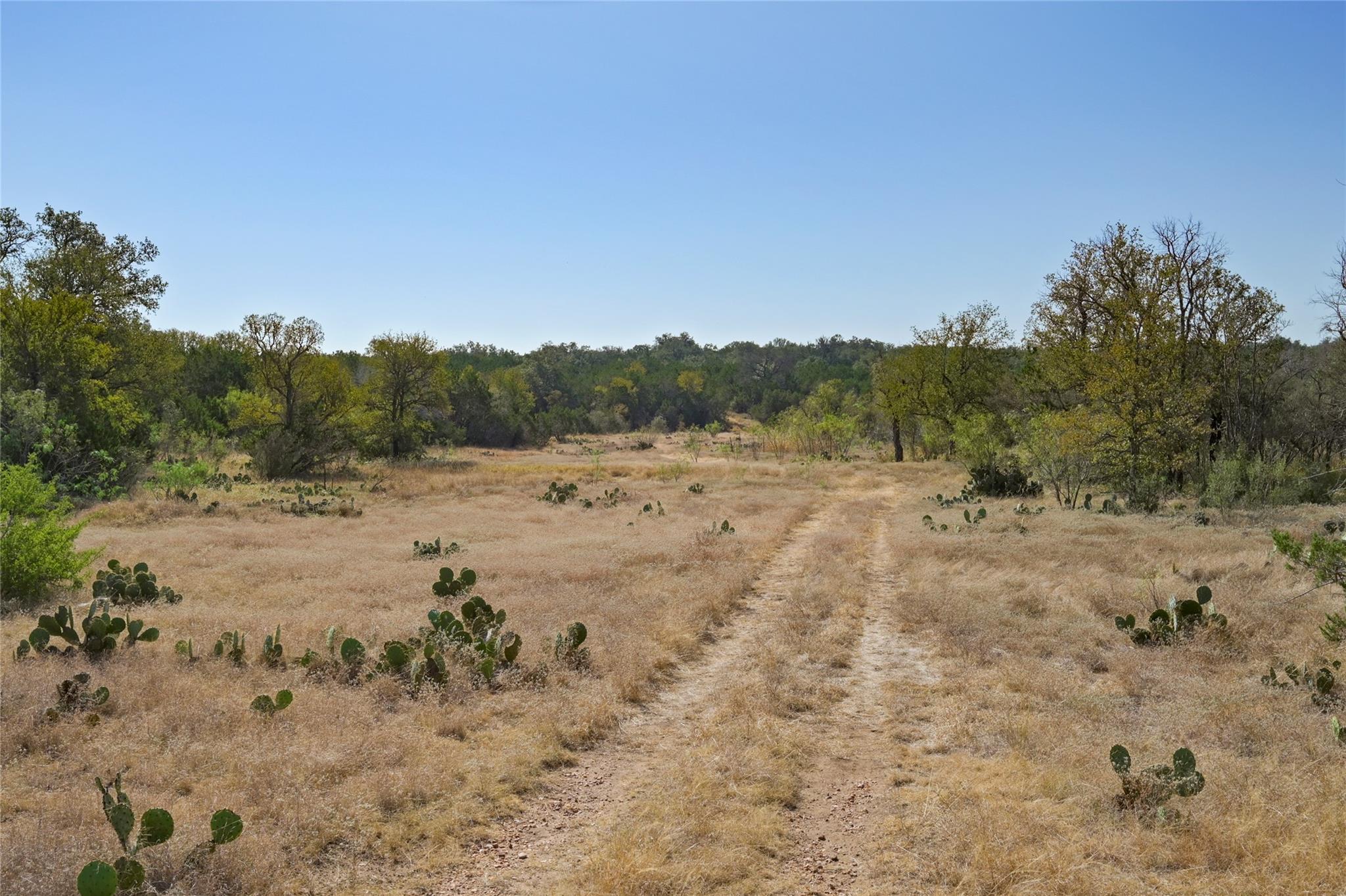 1033 Flying X Rd Property Photo 6