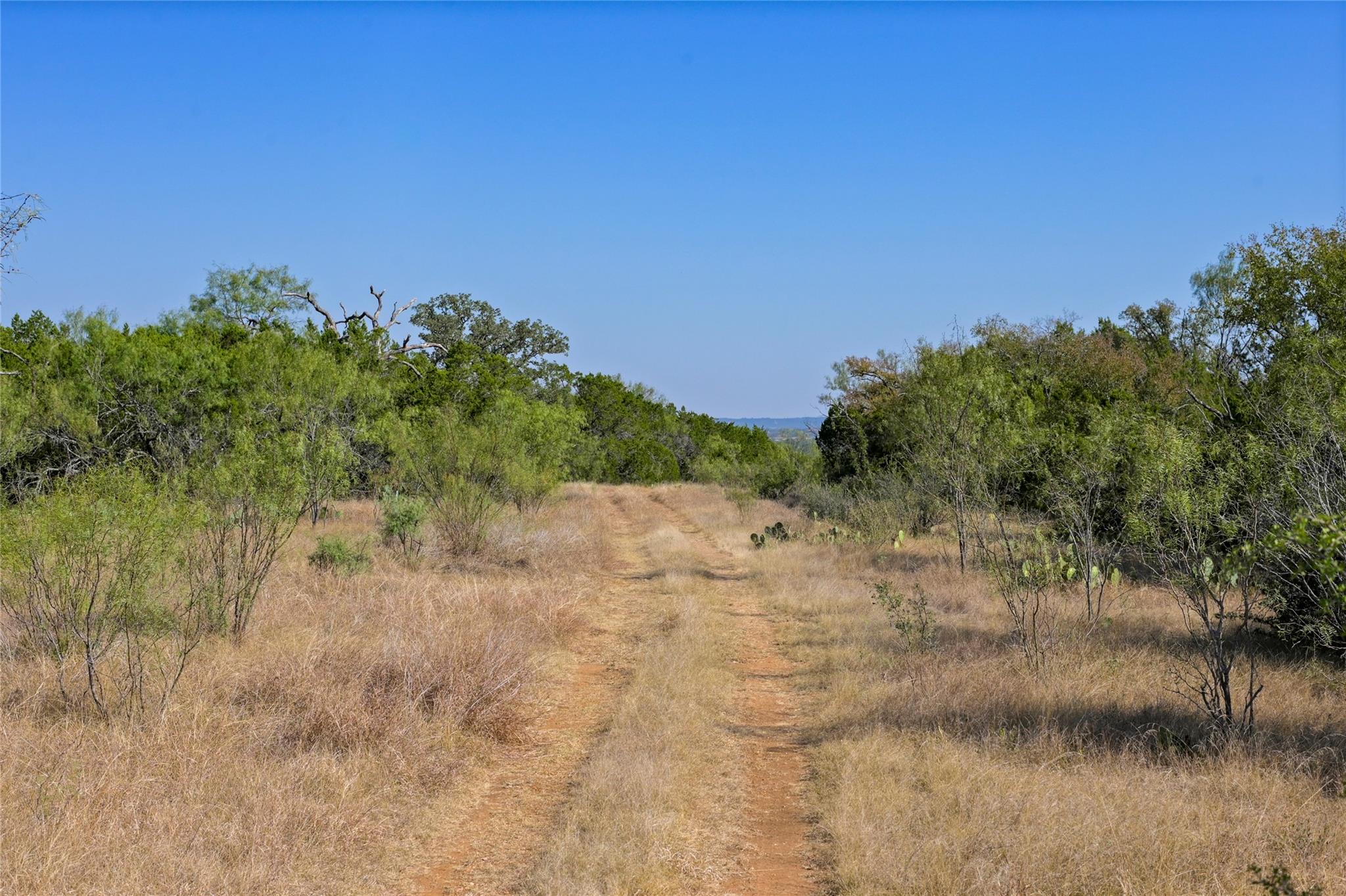 1033 Flying X Rd Property Photo 14