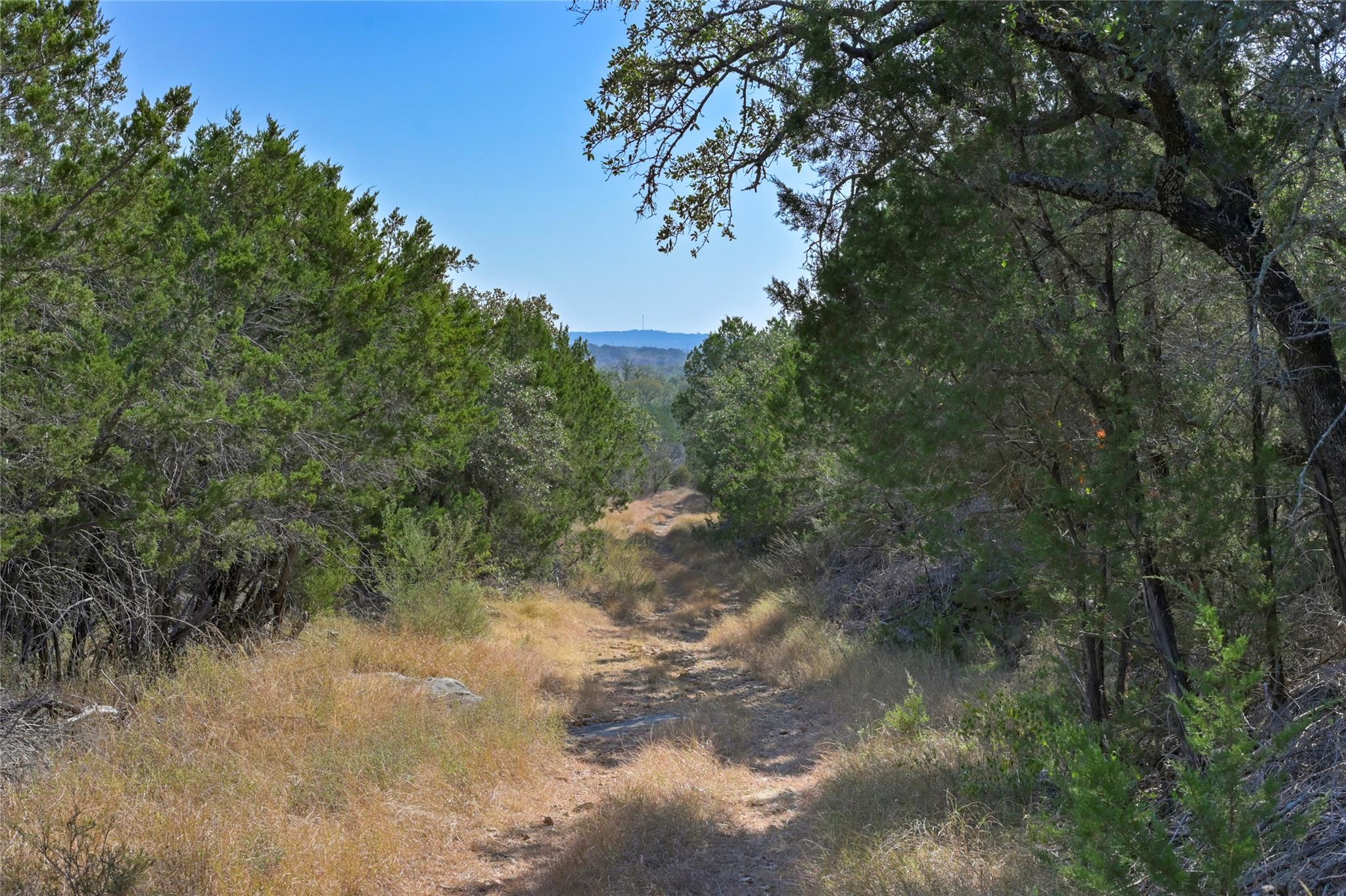 1033 Flying X Rd Property Photo 15