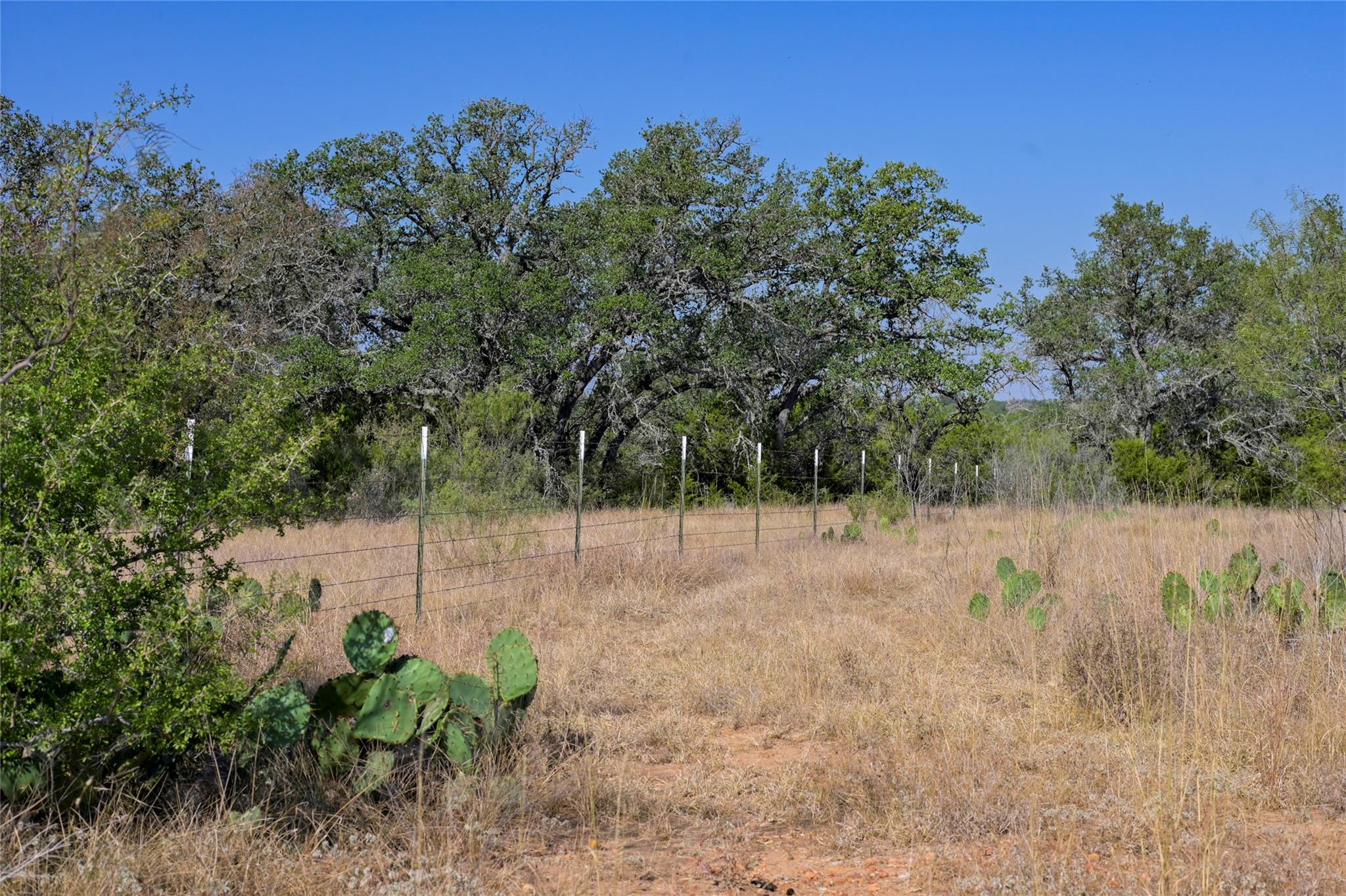 1033 Flying X Rd Property Photo 16