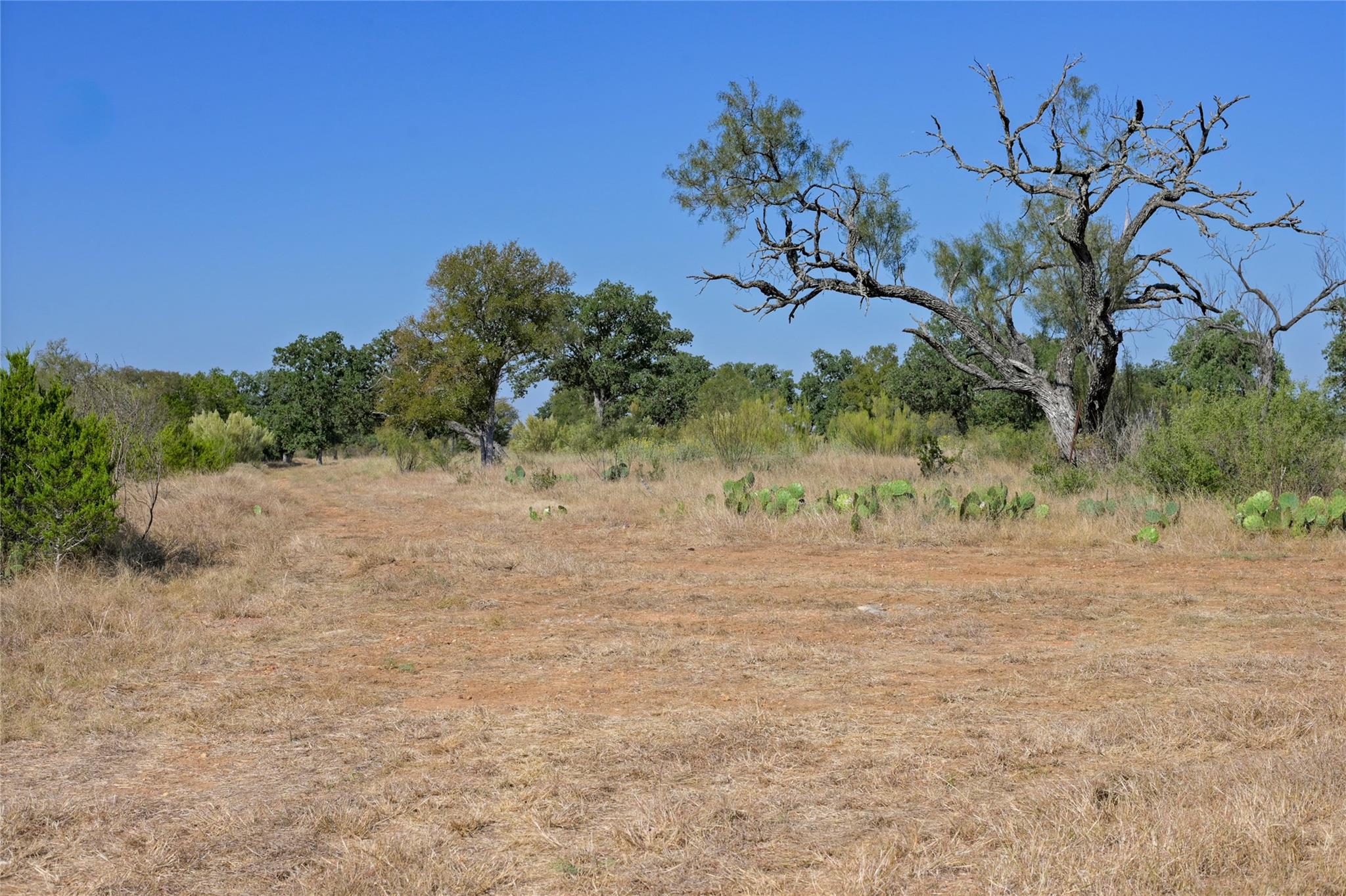 1033 Flying X Rd Property Photo 17