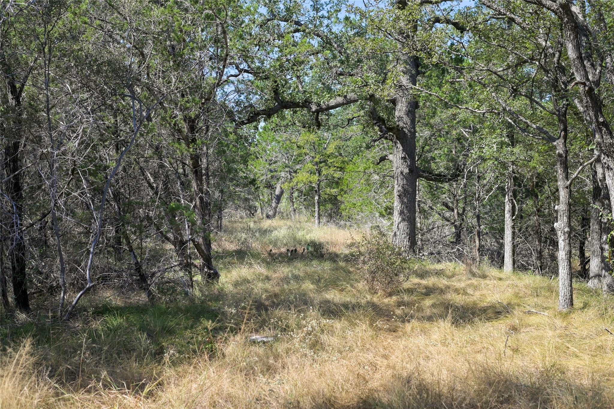 1033 Flying X Rd Property Photo 21
