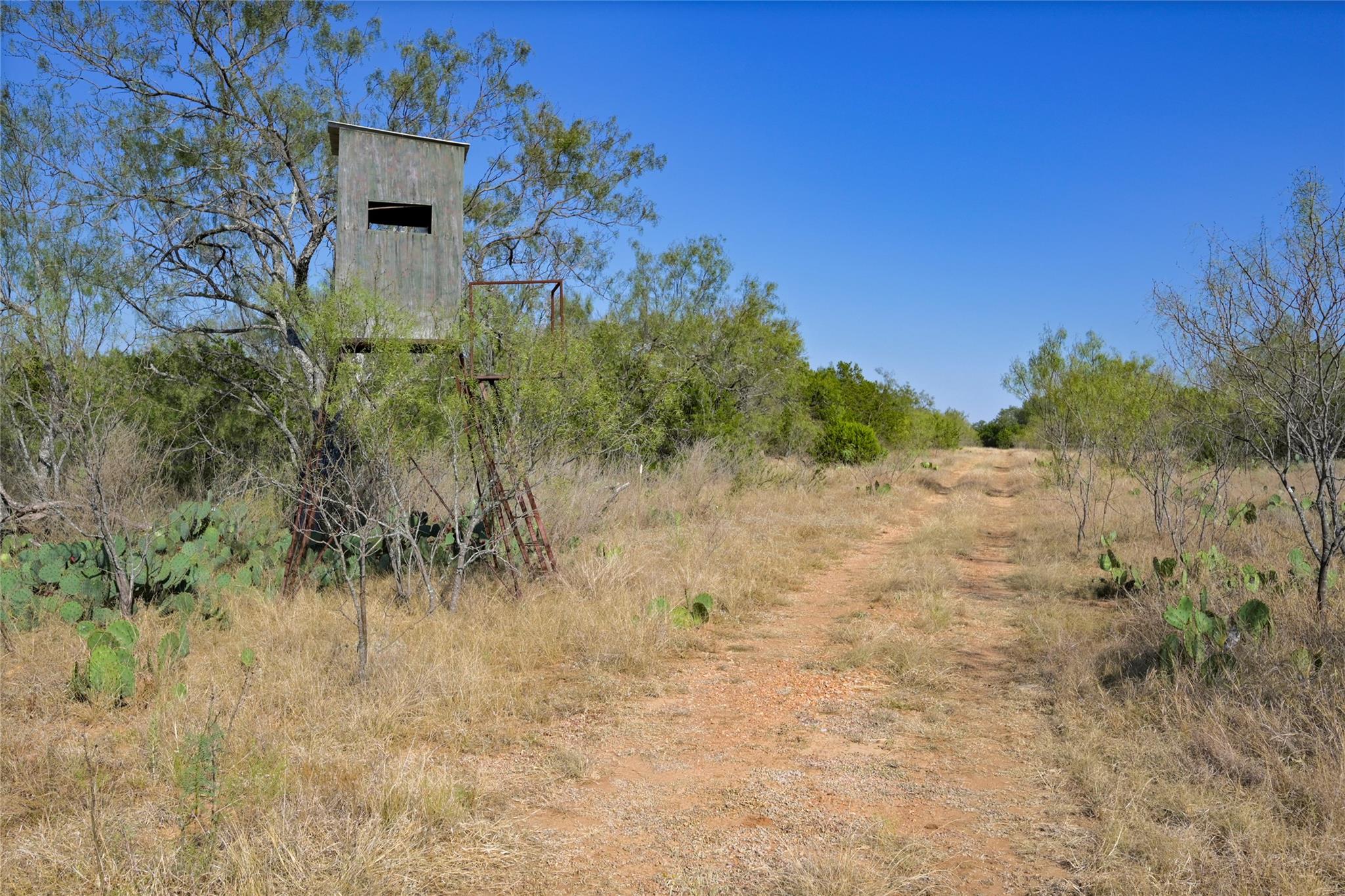 1033 Flying X Rd Property Photo 23