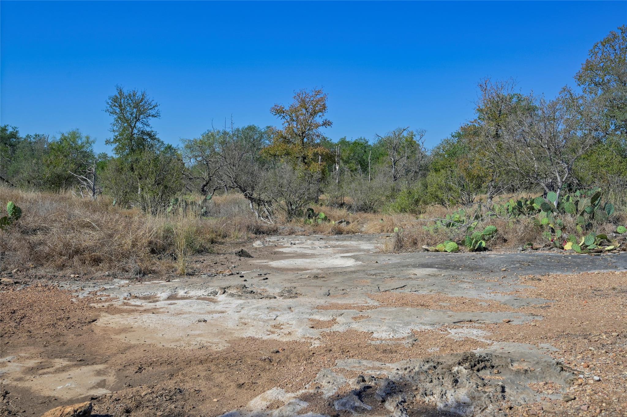 1033 Flying X Rd Property Photo 25