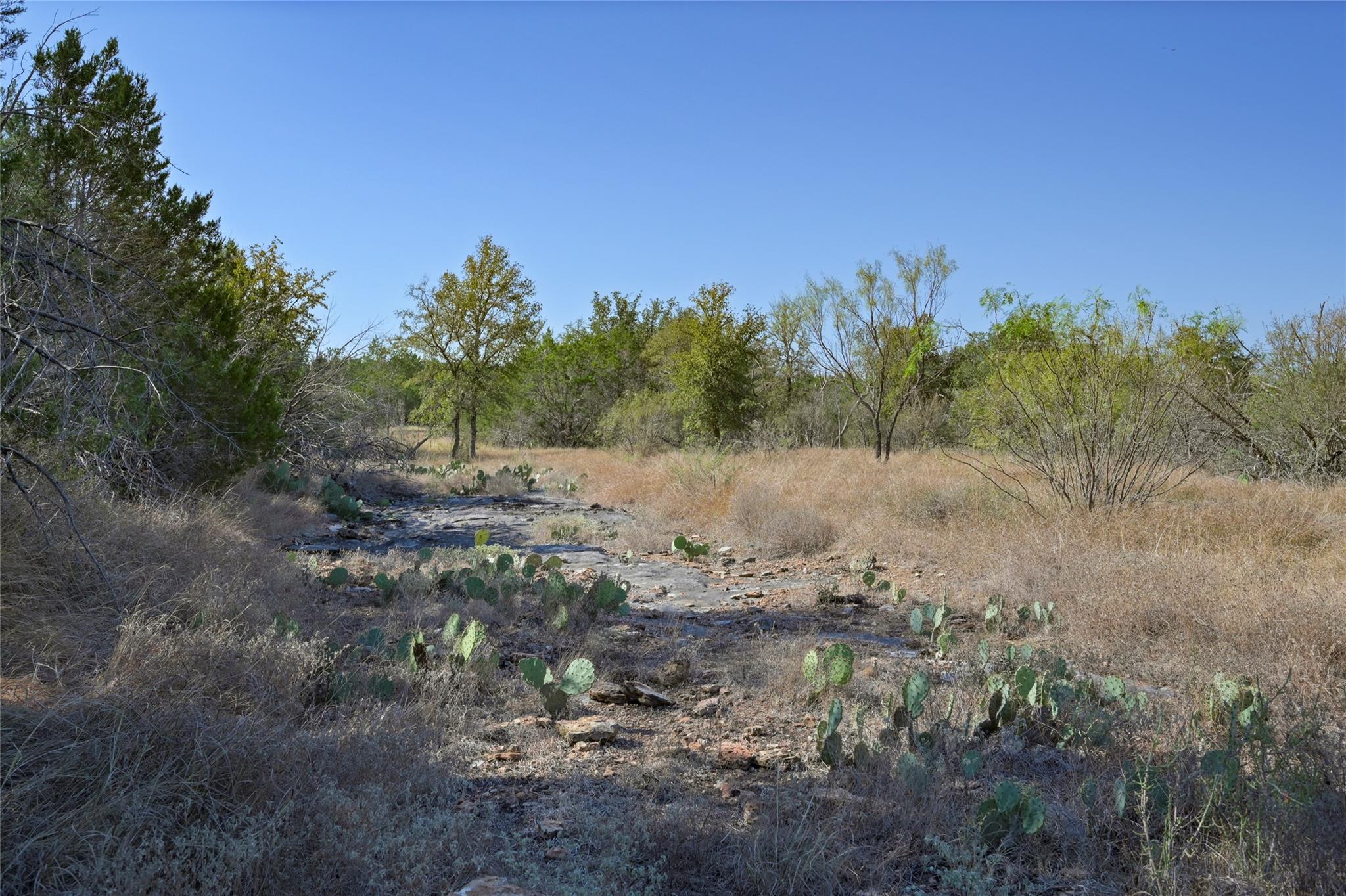 1033 Flying X Rd Property Photo 26