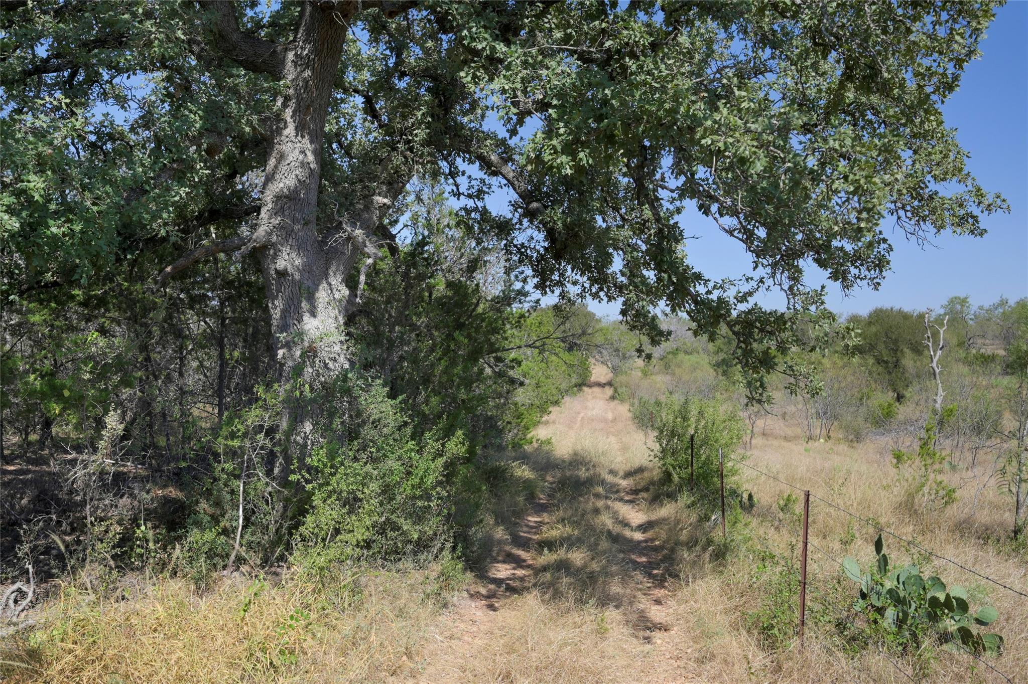 1033 Flying X Rd Property Photo 28