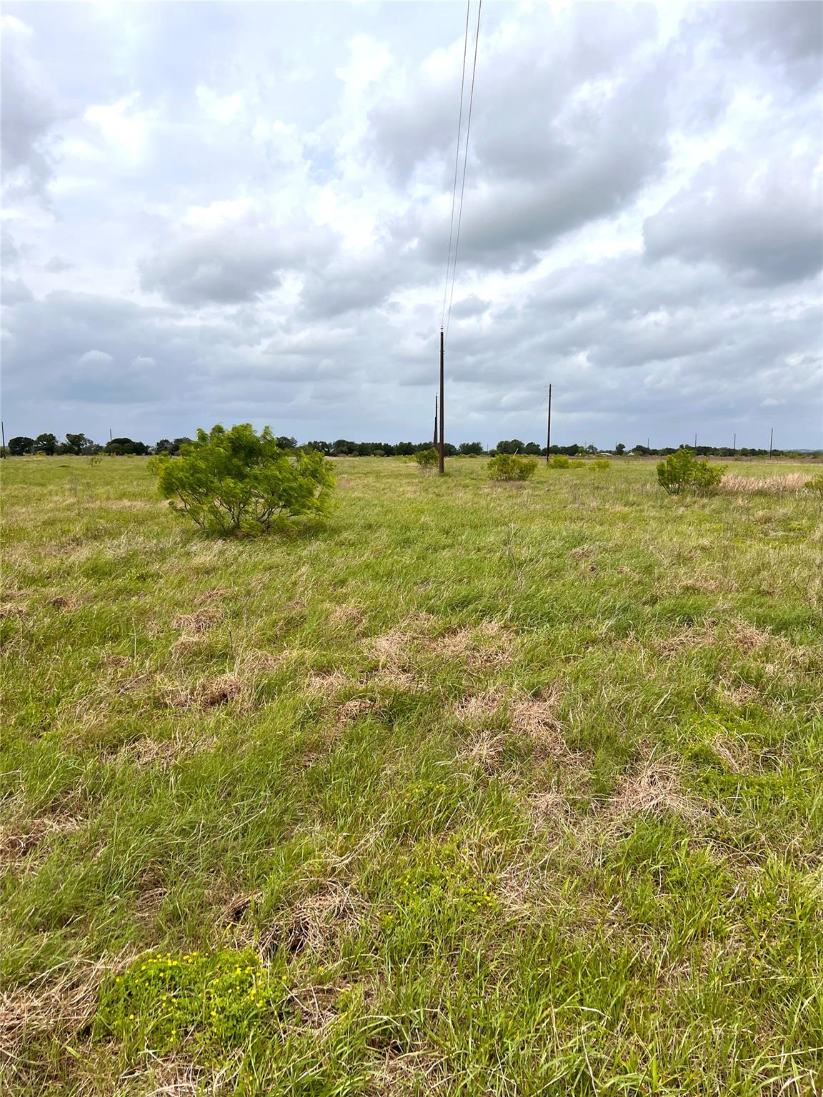 TBD Lot 2 FM 112 Rds Property Photo 1