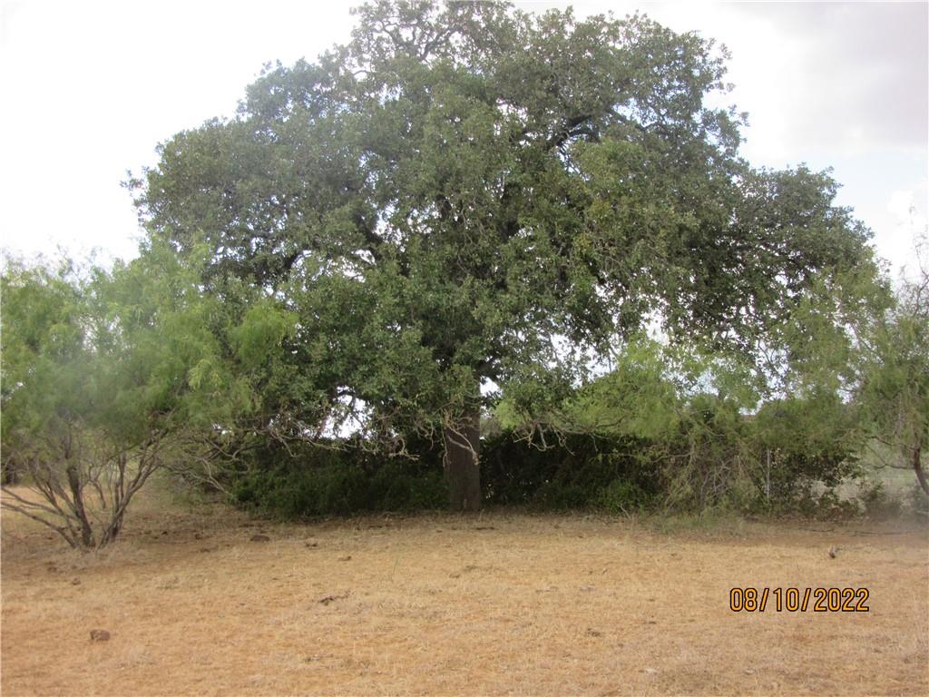 600 Cr 322, Rockdale, Tx Cr 322 Property Photo 14