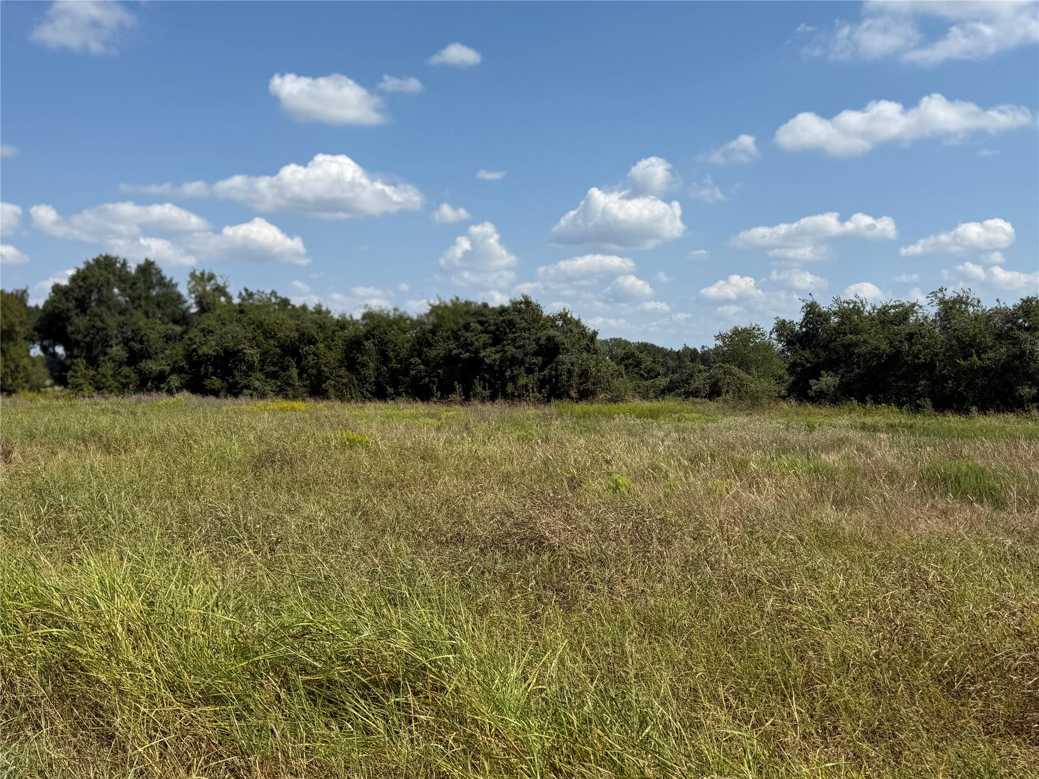 1122 Edwards Way Property Photo 5