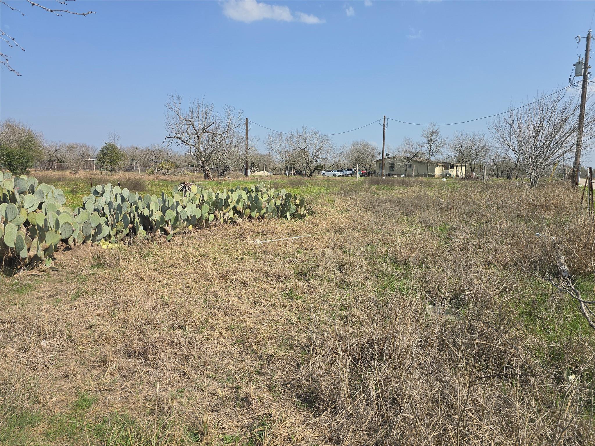 400 Los Mesquites St Property Photo 5