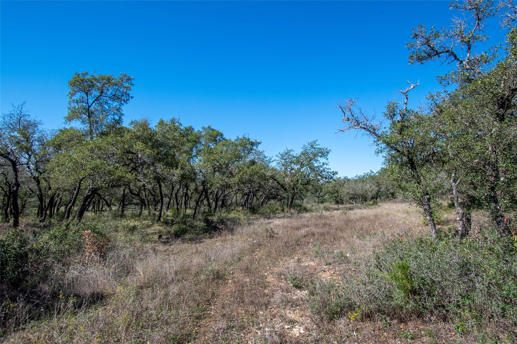 2910 Fall Creek Rd Property Photo 26