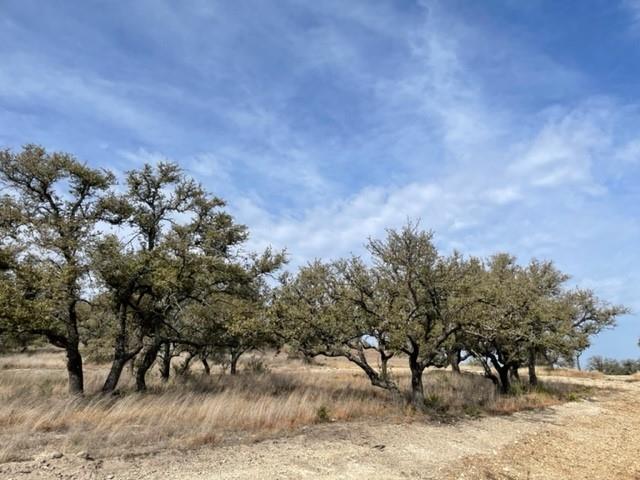 2078 W. Ranch Road 962, Lot 17 Property Photo 7
