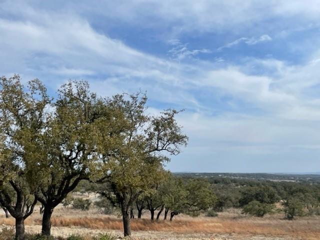 2078 W. Ranch Road 962, Lot 17 Property Photo 9