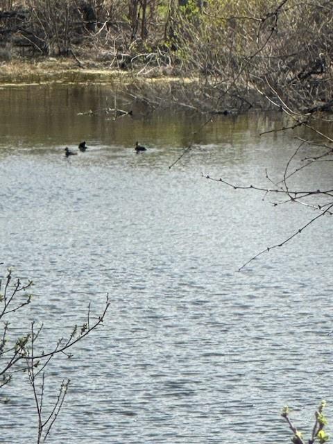 Lot K8023 Dew Drop None Property Photo 1